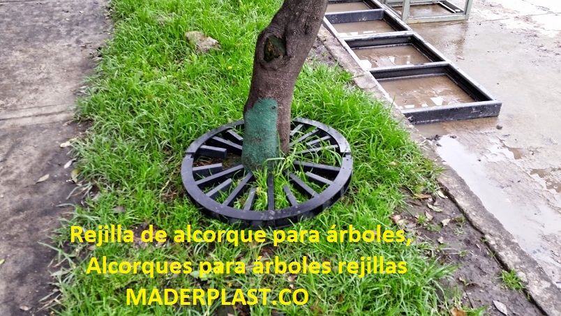 rejilla de alcorque cuadrado alcorques rejillas para arboles alcorques metálicos alcorques de hormigón andorrero alcorques de hormigón rejilla de alcorque en fundición redonda alcorques de hormigón alcorques de caucho alcorque 01 (9) rejilla de alcorque cuadrado alcorques rejillas para arboles alcorques metálicos alcorques de hormigón andorrero alcorques de hormigón rejilla de alcorque en fundición redonda alcorques de hormigón alcorques de caucho alcorque 01 (9) rejilla de alcorque cuadrado alcorques rejillas para arboles alcorques metálicos alcorques de hormigón andorrero alcorques de hormigón rejilla de alcorque en fundición redonda alcorques de hormigón alcorques de caucho alcorque 01 (9)